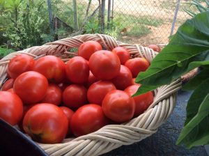 Farmer’s Market Salad