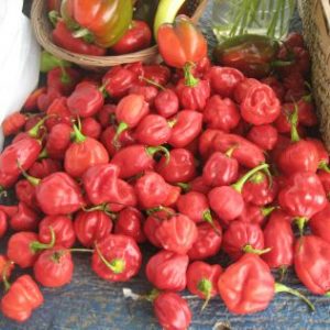 Seasoning peppers