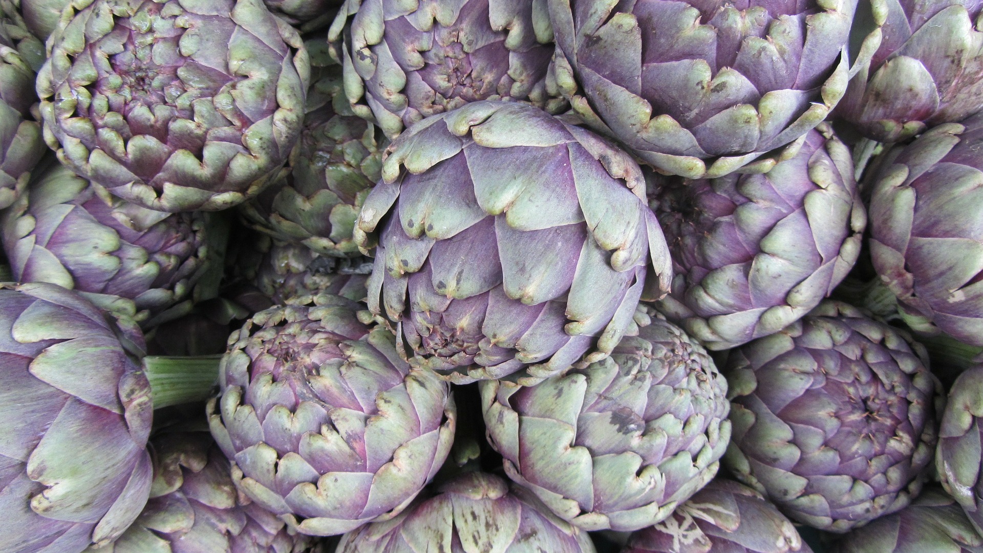 artichoke